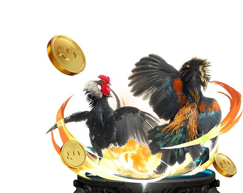 Lịch sử phát triển của đá gà trực tiếp casino 67